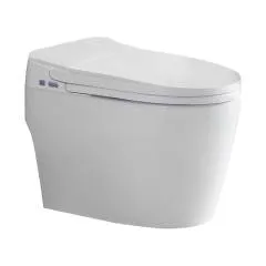 ACiQ Smart Toilet, One-Piece with Bidet, Auto Flush, Heated Seat