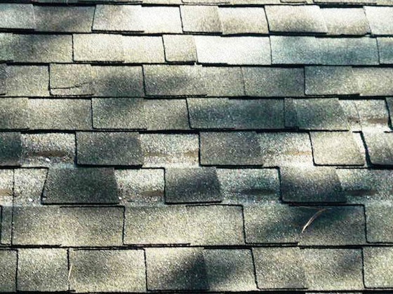 Roof covering - inspector verified, no visible damage or deterioration