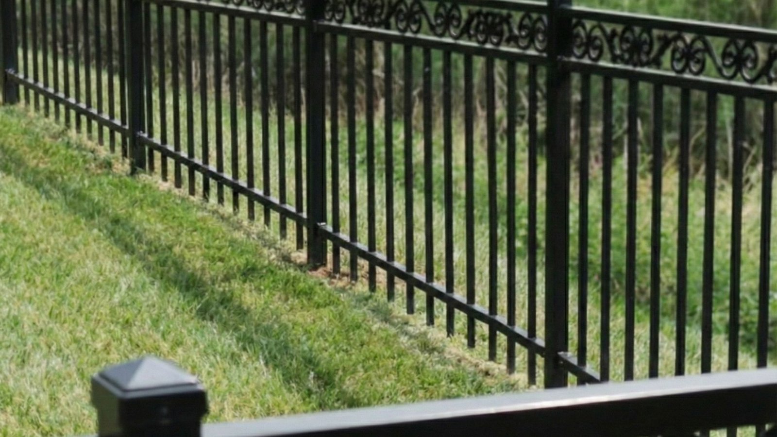 Ornamental Iron Fence